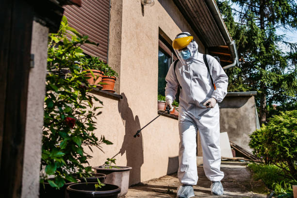 Professional Pest Control in Cupertino, CA