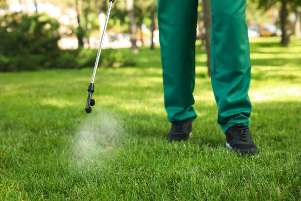 Best Commercial Pest Control Services  in Cupertino, CA