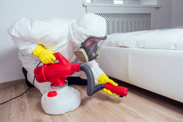 Pest Prevention Services in Cupertino, CA