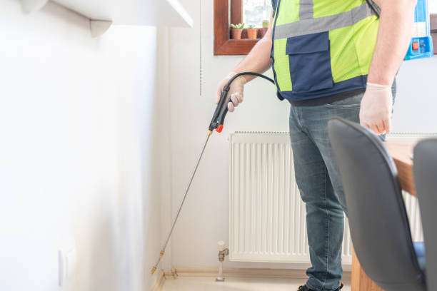 Best Affordable Pest Control Services  in Cupertino, CA