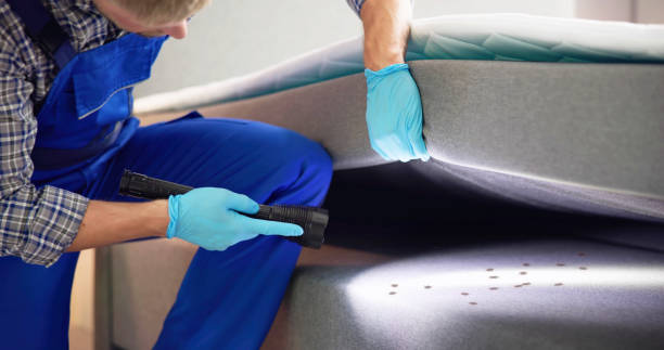 Best Best Pest Control Companies  in Cupertino, CA